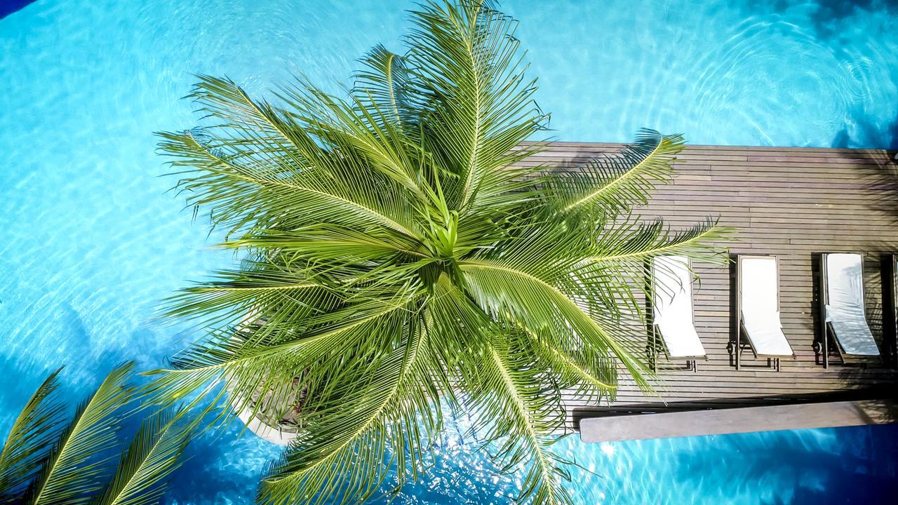 Sombra e Água Fresca Spa Floresta Praia de Pipa Exterior foto
